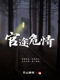 官途危情小说免费阅读下载